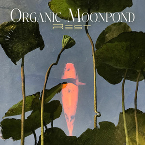 Organic Moonpond Rest