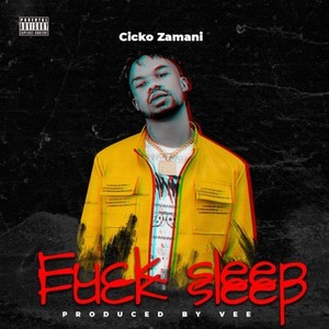 **** Sleep (Explicit)