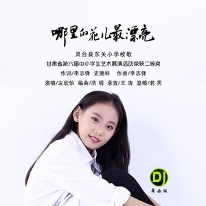 哪里的花儿最漂亮 (DJ舞曲版伴奏)