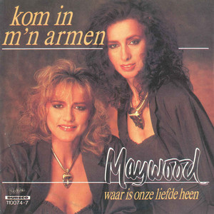 Waar Is Onze Liefde Heen?