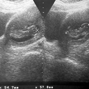 Rosa dos Ventos (feat. Carina Rodrigues)