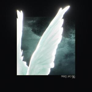 落如雨Falling Like Rain