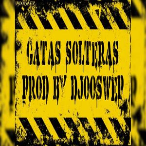 Gatas Solteras