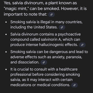 Salvia Scene (feat. DR.EXOTIC, LadyKins & VodkaCran|Explicit)