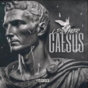 CAESUS (Explicit)