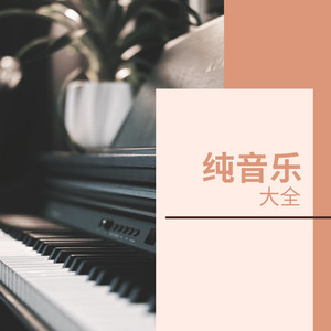 纯音乐大全 - 安静的轻音乐和钢琴歌曲为了每天减少压力