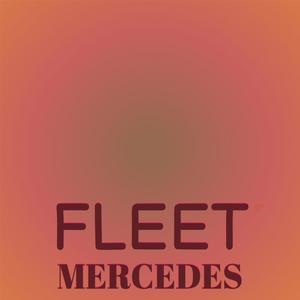 Fleet Mercedes