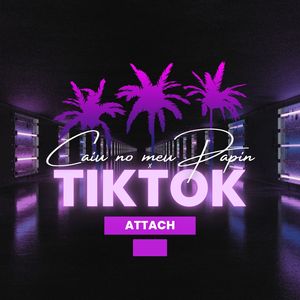 Caiu No Meu Papin Tiktok (Explicit)