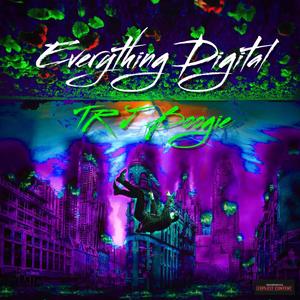 Everything Digital (Explicit)