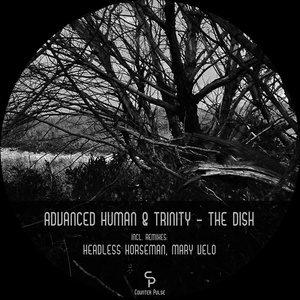 Splinter (Original Mix)