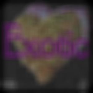 Exotic (Explicit)