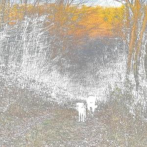 stillness, in waves. (demo.)