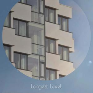 Largest Level