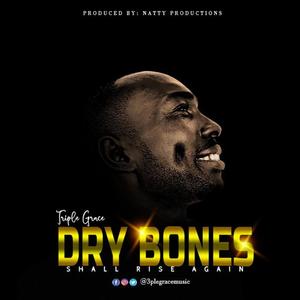 DRY BONES