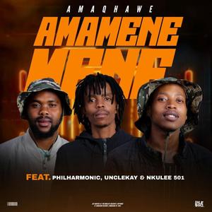 Amamenemene (feat. Philharmonic, UncleKay & Nkulee501)