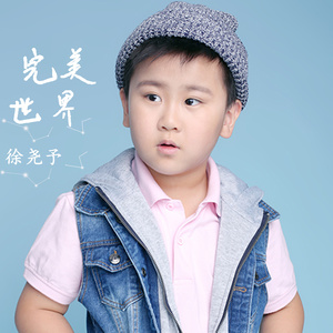 完美世界 (伴奏)