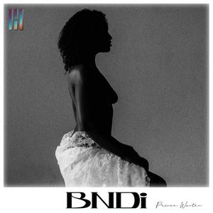 BNDi (Explicit)