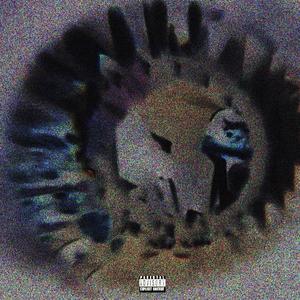 drake&josh (Explicit)