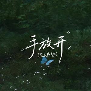 手放开 (R&B版)