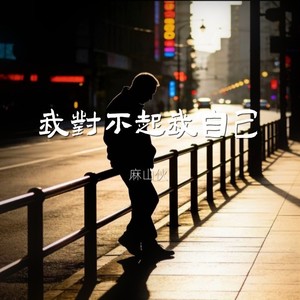 我对不起我自己封面