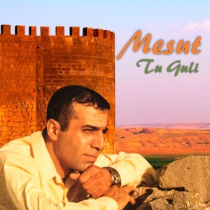 Tu Guli