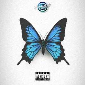 ButterFly Effect (Explicit)