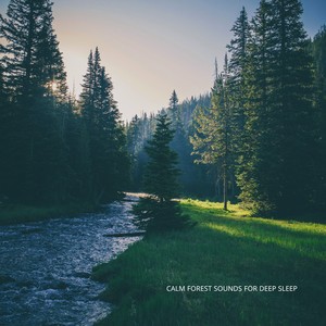 Calm Forest Sounds for Deep Sleep