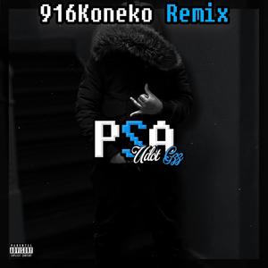 PSA (916Koneko Remix|Explicit)
