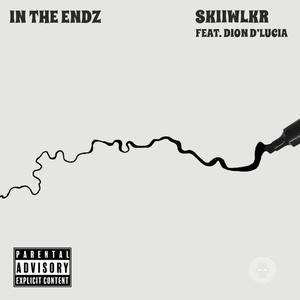 In The Endz (feat. Dion D'Lucia) [Radio Edit]