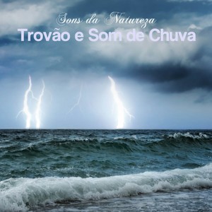 Vivaldi, The Four Seasons (Primavera)