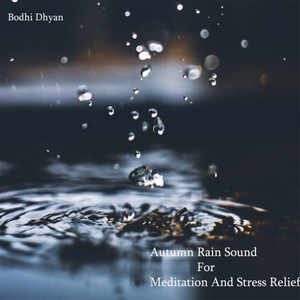 Autumn Rain Sound For Meditation And Stress Relief