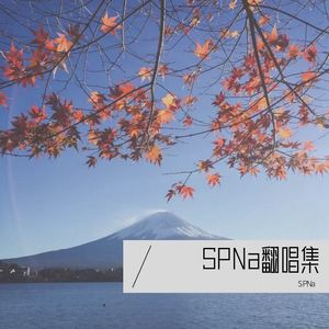 SPNa翻唱集