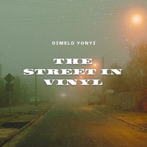 The street in vinyl