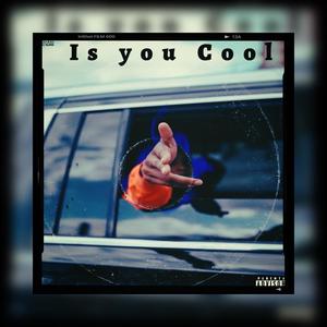 IS YOU COOL (Explicit)