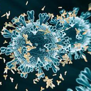 COVID-19 PT.4 (Explicit)