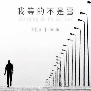 我等的不是雪
