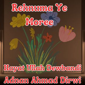 Rehnuma Ye Moree