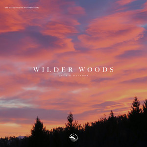 Wilder Woods