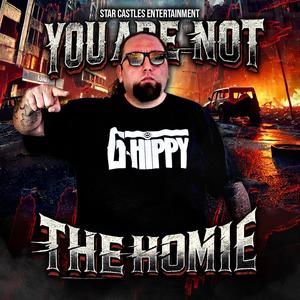 You Are Not The Homie (Explicit)