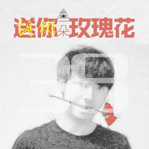 送你一朵玫瑰花