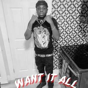 Want It All (Explicit)