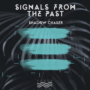 Shadow Chaser (Ambient Mix)