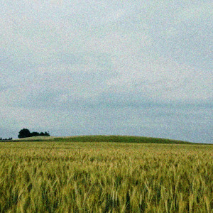 Going Nowhere (Alka Seltzer Flip)