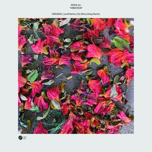 Vibration (Levk Remix)