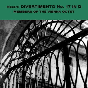 Divertimento No. 17 in D Major for 2 Violins, Viola, Violoncello, Bass & 2 Horns, K. 334 - IV. Adagio
