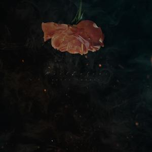 Ð¥Ð¾ÑÐµÐ» Ð»ÑÐ±Ð¸ÑÑ (Prod. MostNferov)