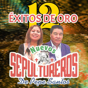 12 Exitos de Oro