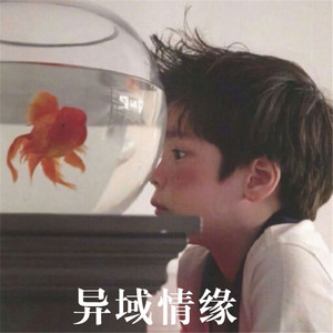 如果爱为什么会离开