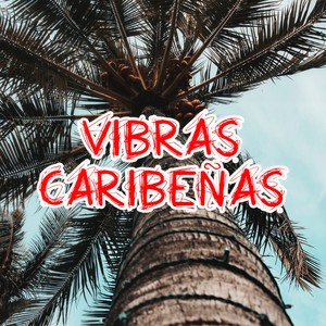 Cosas Del Amor (Merengue Version)