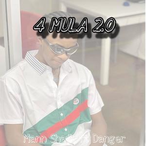 4mula 2.0 (feat. Danger)